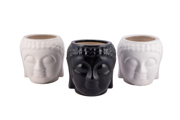 Flower Pots and Planters Ready Stock - Image 40