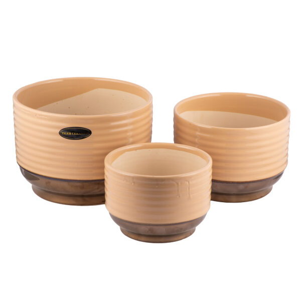 Flower Pots and Planters Ready Stock - Image 62