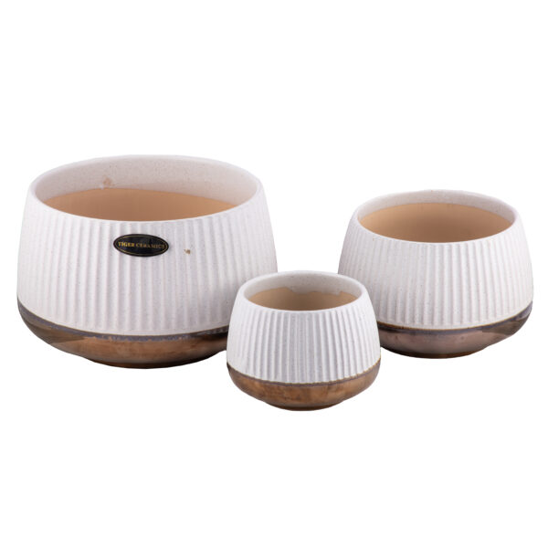 Flower Pots and Planters Ready Stock - Image 63