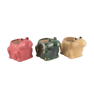 Frog Ceramic Planter